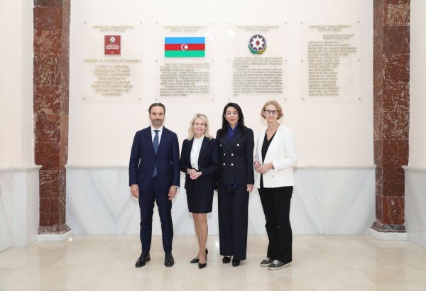 Омбудсмен Азербайджана встретилась с президентом ПА ОБСЕ