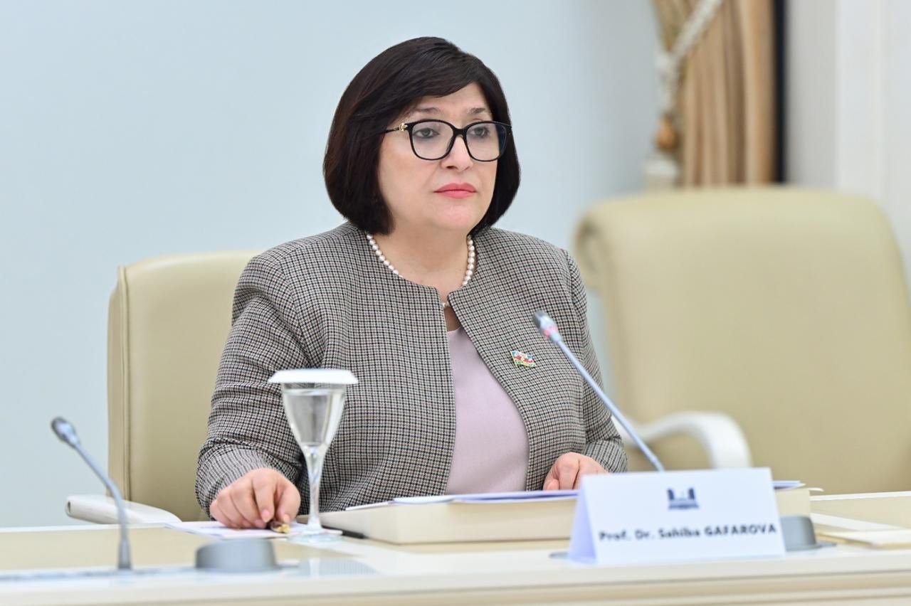 Azerbaijan's parliamentary speaker updates OSCE PA delegation on South Caucasus