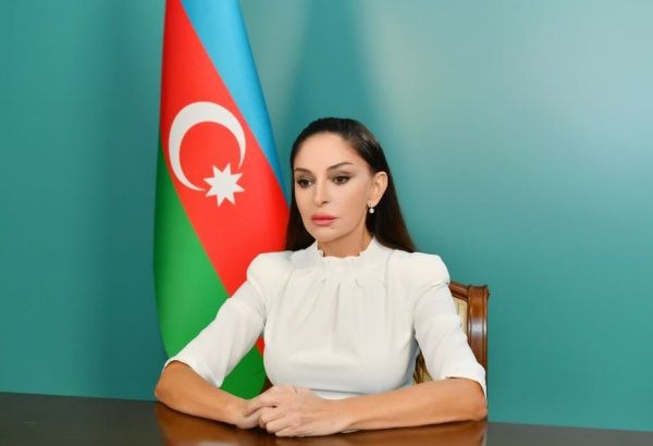 We have constantly paid attention to the issue of Palestine - First Lady Mehriban Aliyeva
