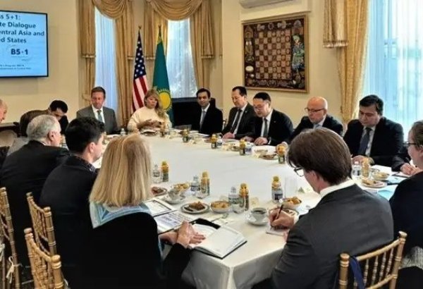 США и страны Центральной Азии запускают платформу «Business 5+1»