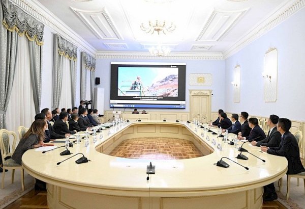 Глава Кабмина КР принял представителей китайской корпорации «Цзыцзинь»