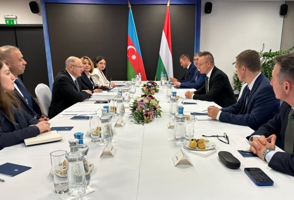 Azerbaijan, Hungary review ways to expedite joint venture setup for green corridor