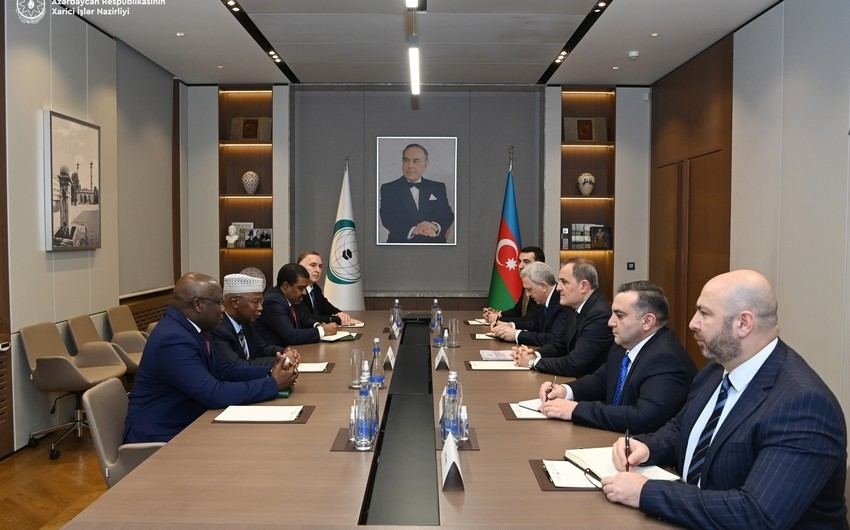 Azerbaijani FM discuss with OIC Secretary General preparations for organization’s summit