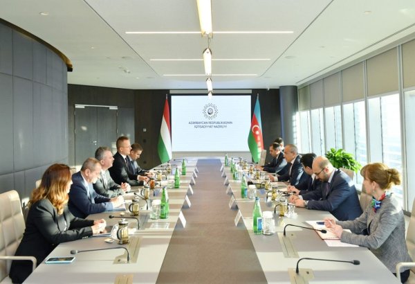 Azerbaijan and Hungary discuss development of economic relations