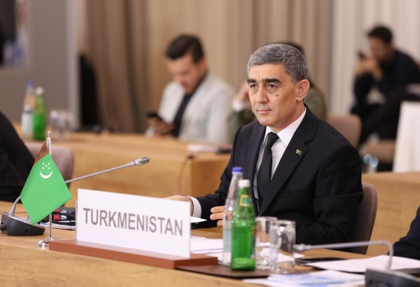 Cargo shipping system's creation needed via Caspian ports - Turkmenistan's deputy minister