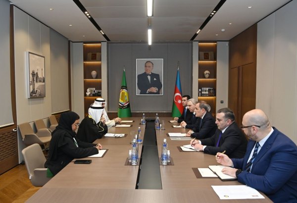 Azerbaijani FM discusses regional issues with SecGen of Gulf Cooperation Council