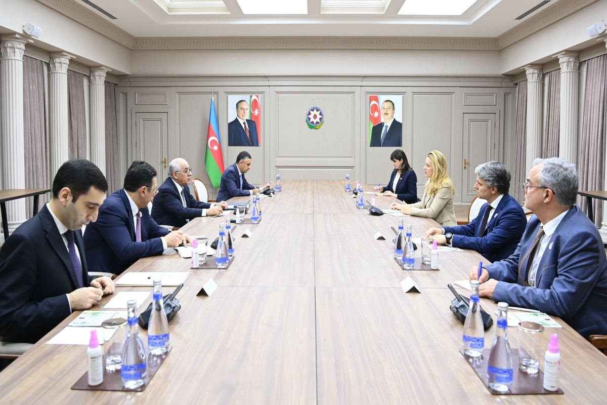 Azerbaijani PM meets with Executive Secretary of UN Economic Commission for Europe
