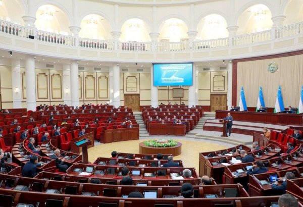 В Узбекистане введут мажоритарно-пропорциональную систему выборов