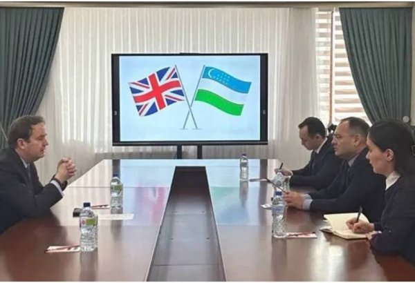 Cooperation prospects between Uzbekistan and the UK discussed at the MFA