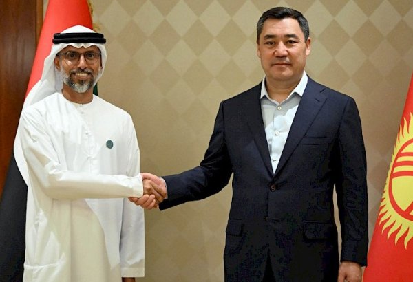 Sadyr Zhaparov holds talks with energy minister of UAE