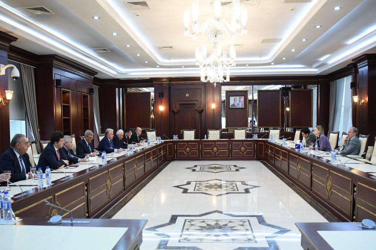 Azerbaijani parliament goes over early presidential elections with OSCE/ODIHR reps