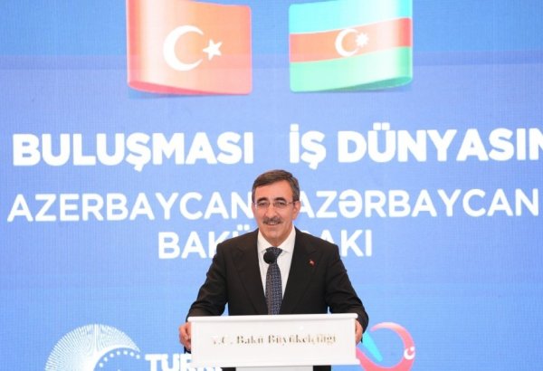 Qarabağın hər yerində Azərbaycan bayrağının dalğalanması hamımız üçün qürurvericidir - Cevdet Yılmaz
