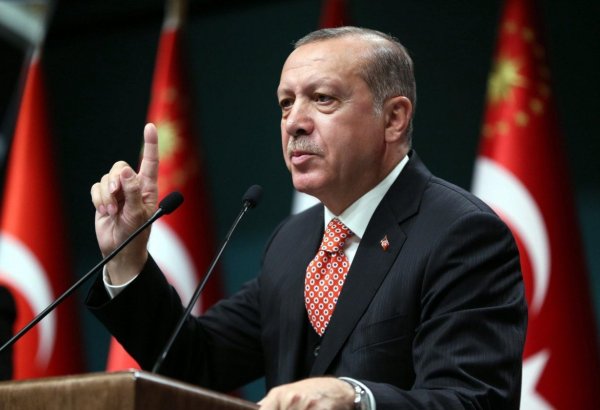 Türkiye aims to ensure Israel is ‘punished’ at ICJ: Erdoğan
