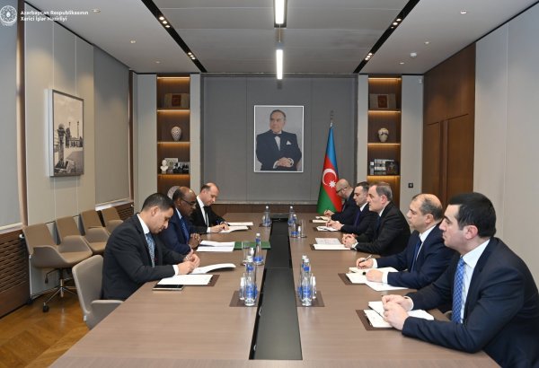 Azerbaijani FM holds meeting with Deputy Secretary General of OIC