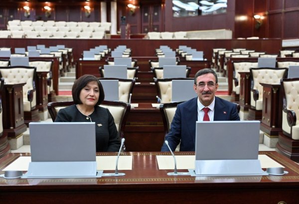 Speaker of Azerbaijani parliament meets Turkish Vice President