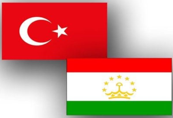 President of Tajikistan, Türkiye's FM discuss economic cooperation