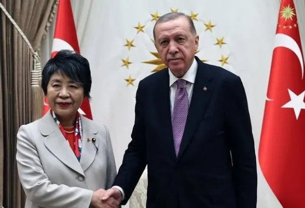 Глава МИД Японии находится с визитом в Турции