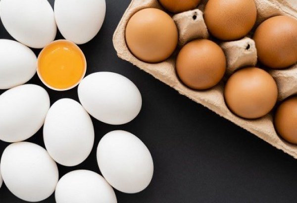 Kazakistan, Rusya'ya yumurta ihracatını artıracak