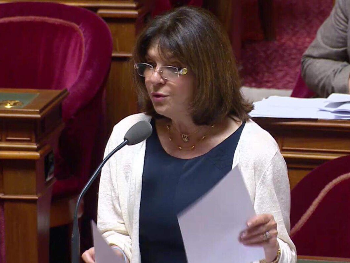 Антиазербайджанская резолюция Сената Франции направлена против мира на Южном Кавказе - Натали Гуле