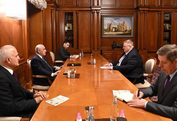 Али Асадов встретился с вице-премьером России