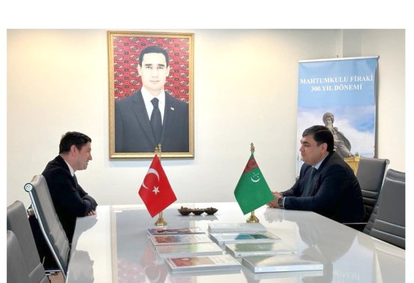 Вопросы туркмено-турецкого сотрудничества в различных сферах обсуждены в Стамбуле
