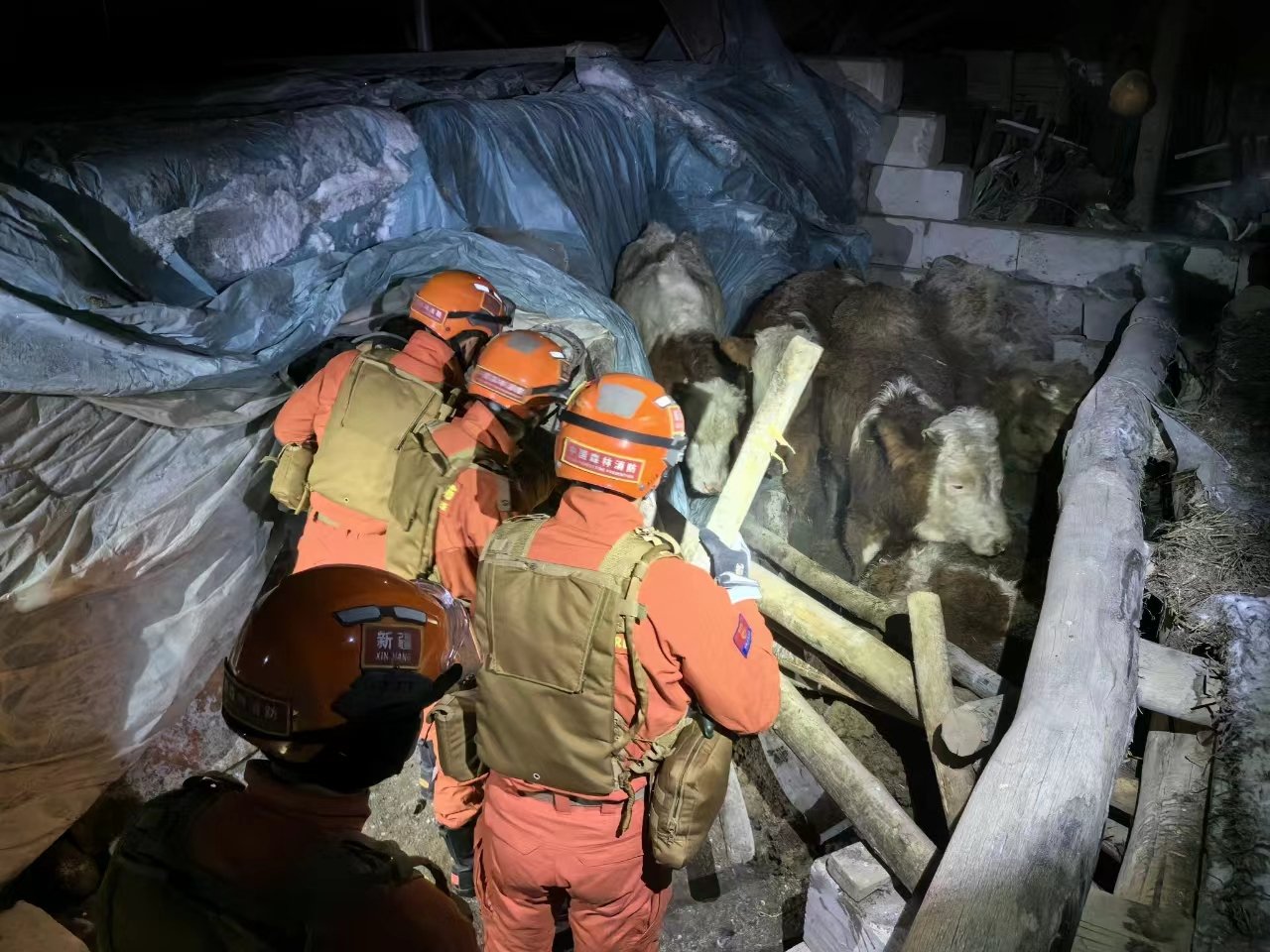 Kırgızistan-Çin sınırındaki depremde 3 Çinli öldü