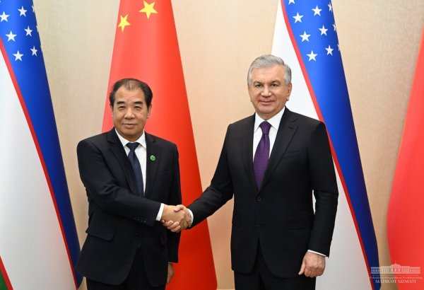 Uzbekistan, Chinese CSG discuss implementation of co-op projects