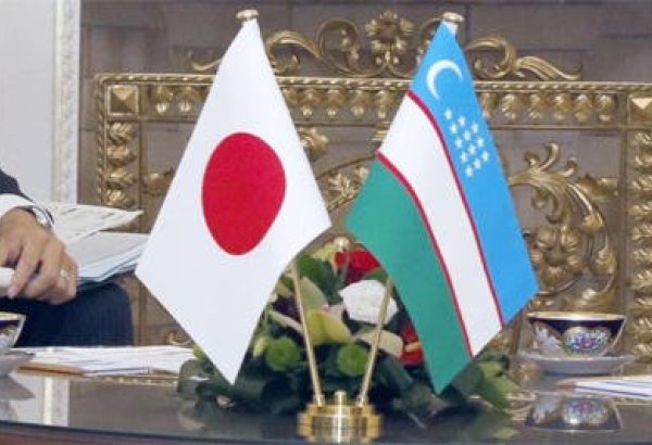 Узбекистан и Япония обсудили новые проекты в сфере животноводоства