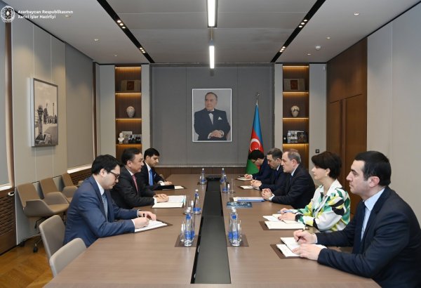 Azerbaijani MFA discusses preps for presidential election with OTS Secretary General