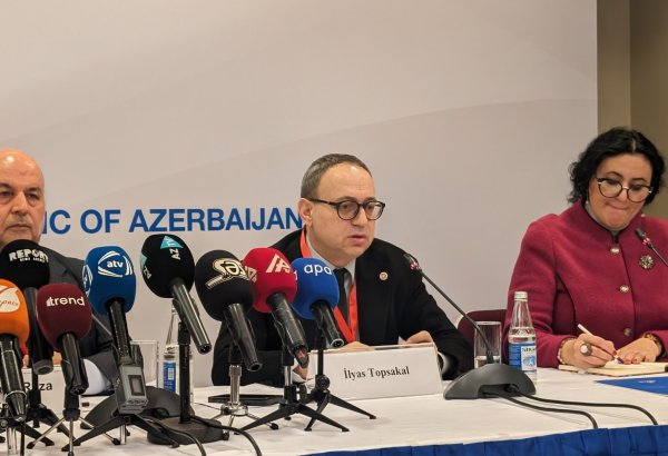 Presidential election in Azerbaijan run to high standards - observer from Türkiye