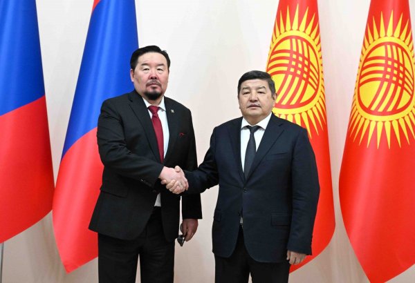 Kyrgyzstan aims to utilize Mongolia's textile industry expertise