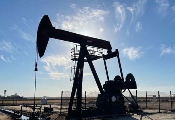 Azerbaijani oil prices experience downward trend