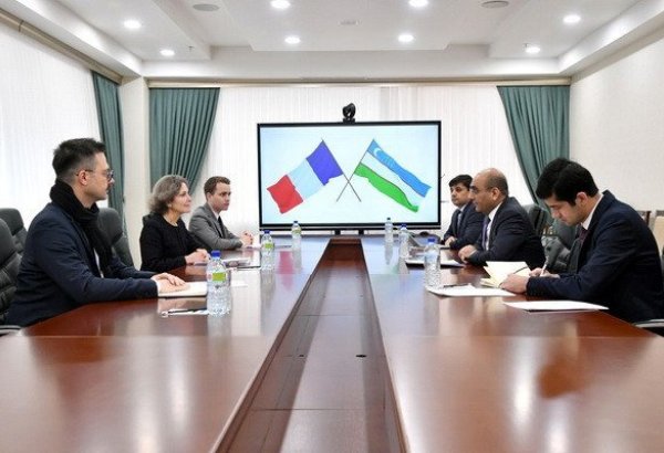 Uzbekistan discusses joint investment projects with French companies
