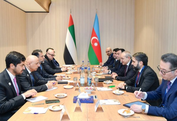 Азербайджан и ОАЭ обсудили потенциальные области сотрудничества в рамках COP29
