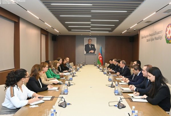 Азербайджан и ВБ обсудили подготовку к COP29