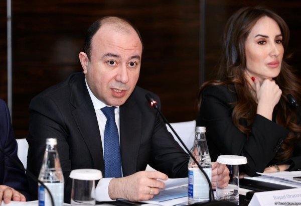 Azerbaijani Central Bank taking efforts to stimulate 'green' financing