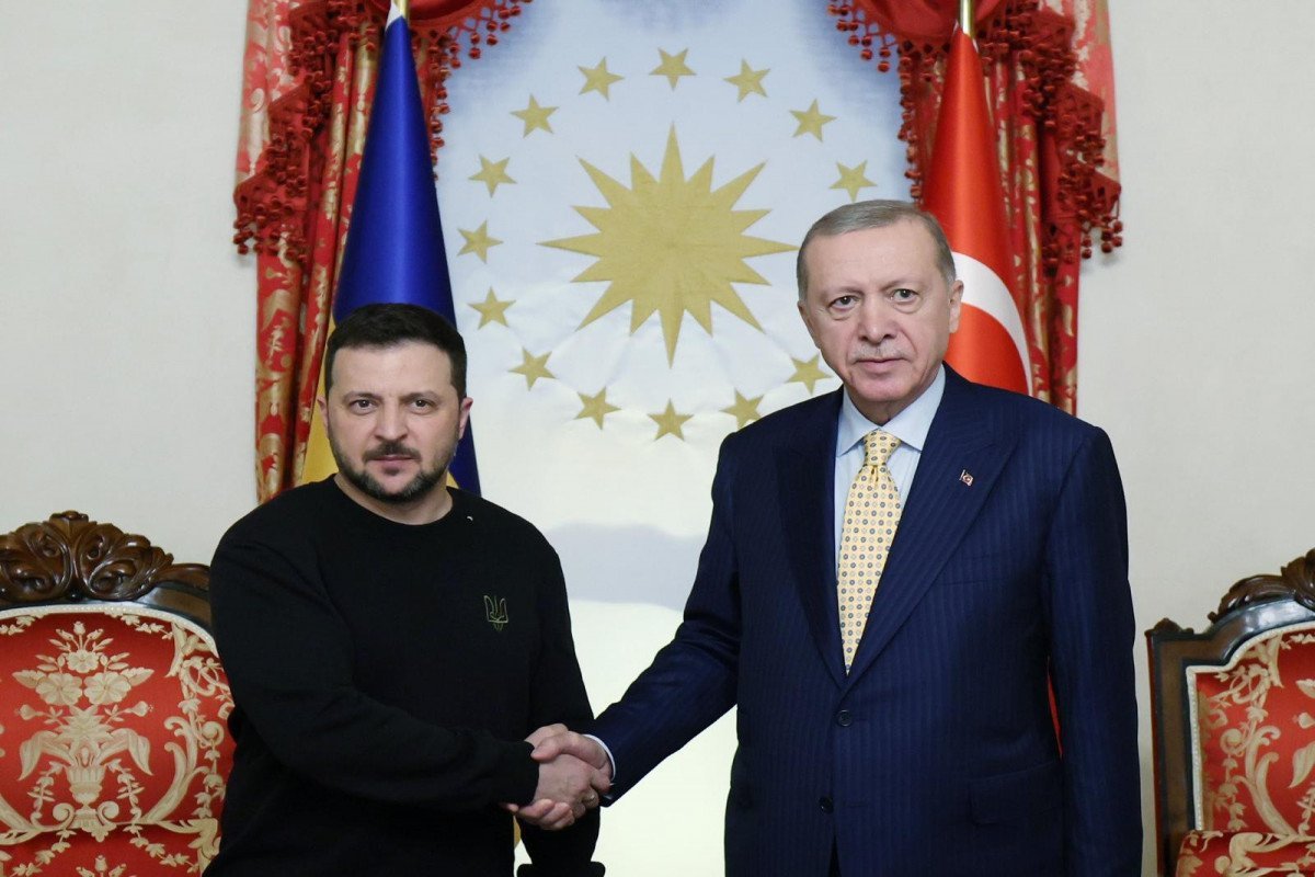 Эрдоган и Зеленский обсудили региональные и глобальные проблемы