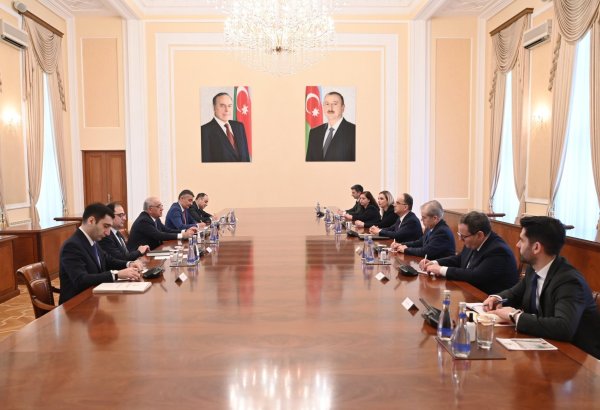 Azerbaijani PM and Albanian President discuss energy cooperation