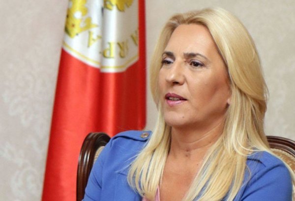 Сербия и Босния и Герцеговина высоко ценят дружеские отношения с Азербайджаном - Желька Цвиянович