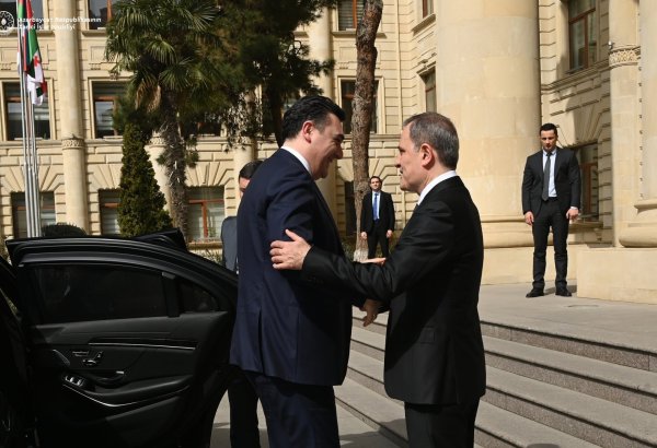 Azerbaijani FM discusses regional situation with Georgian counterpart