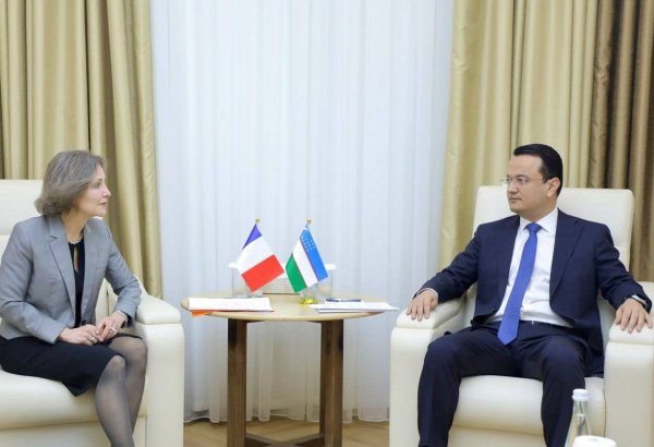 Uzbekistan, France discuss co-op in various areas