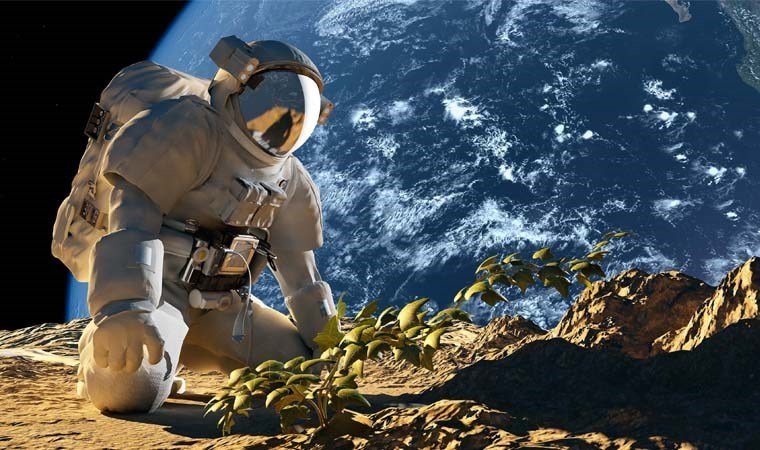Ayda əkinçilik mümkün olacaq – NASA
