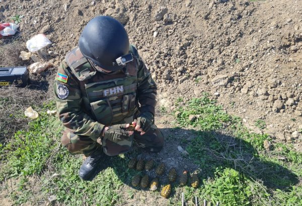 На территории города Хырдалан обнаружено 12 гранат - МЧС Азербайджана