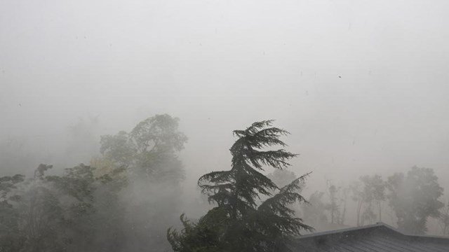 Kırgızistan'ın başkenti Bişkek'te şiddetli rüzgar nedeniyle "acil durum" ilan edildi