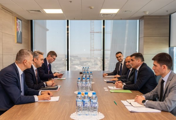 Azerbaijani, Romanian energy regulatory agencies mull expansion of relations