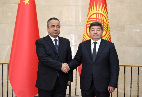 Kyrgyzstan invites China to collaborate in green energy