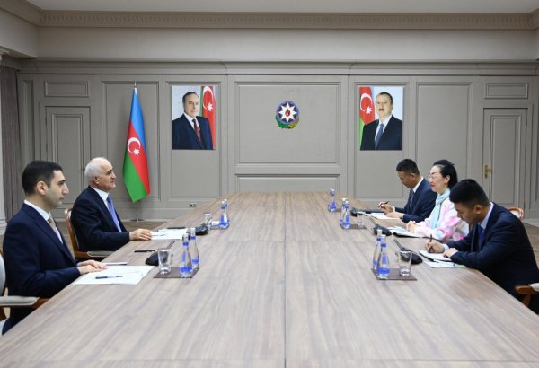 Azerbaijani deputy PM hails outgoing Chinese ambassador's input in bilateral relations