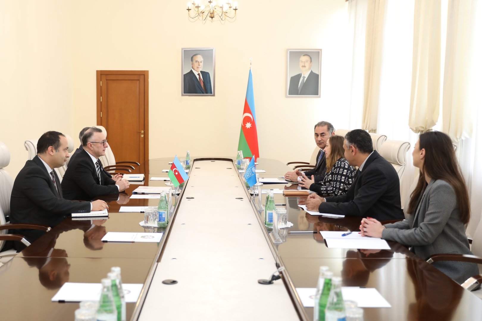 В Министерстве здравоохранения Азербайджана состоялась встреча с резидент-представителем Программы развития ООН