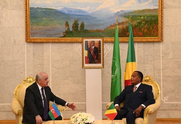 Али Асадов встретился с Президентом Конго Дени Сассу-Нгессо