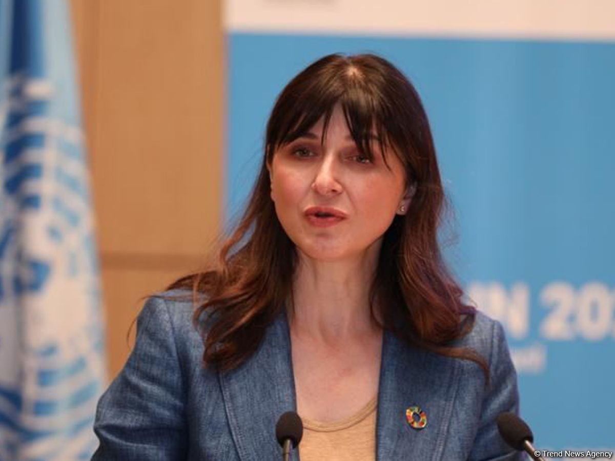 We stand in solidarity with Azerbaijan in demining efforts - UN coordinator